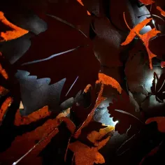 sp014